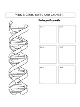 Load image into Gallery viewer, Human Body STUDENT JOURNAL (PRINT)