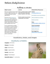 Load image into Gallery viewer, Yuleschool Volume 3 (PDF)