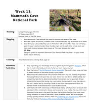 Load image into Gallery viewer, Delighting in the World Volume 3 (PRINT)