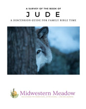 Load image into Gallery viewer, A Survey of.... Jude Bundle