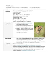 Load image into Gallery viewer, Three-Term Animals Bundle (PDF)