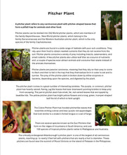 Load image into Gallery viewer, London Student Journal (PDF)