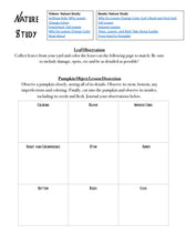 Load image into Gallery viewer, Delighting in Festivity: Fall Bundle (PDF)