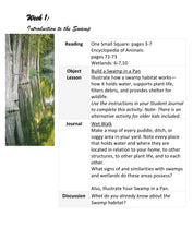 Load image into Gallery viewer, Delighting in Habitats: Swamp