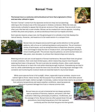 Load image into Gallery viewer, Tokyo Student Journal (PDF)