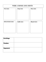 Load image into Gallery viewer, Human Body STUDENT JOURNAL (PDF)