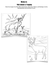 Load image into Gallery viewer, Exploration Bundle (PDF)