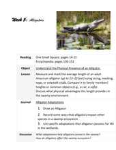 Load image into Gallery viewer, Delighting in Habitats: Swamp
