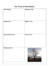 Load image into Gallery viewer, NYC Student Journal (PRINT)