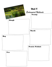 Load image into Gallery viewer, Swamp Student Journal (PDF)