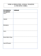 Load image into Gallery viewer, Three-Term Animals Bundle (PDF)