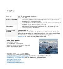 Load image into Gallery viewer, Three-Term Animals Bundle (PDF)