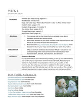 Load image into Gallery viewer, Delighting in Animals: Domestic & Young (PRINT)