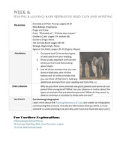 Load image into Gallery viewer, Delighting in Animals: Domestic & Young (PDF)