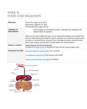 Load image into Gallery viewer, Human Body (PDF)
