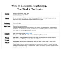 Load image into Gallery viewer, 3-Term Psychology Bundle