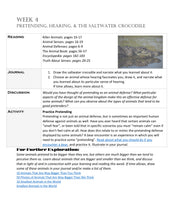 Load image into Gallery viewer, Animal Senses & Defenses (PRINT)