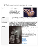 Load image into Gallery viewer, Animal Senses & Defenses (PRINT)