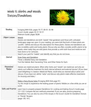 Load image into Gallery viewer, Delighting in Creation: Foraging (Print)