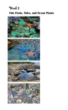 Load image into Gallery viewer, Ocean Life Student Journal (Print)