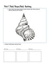Load image into Gallery viewer, Three-Term Marine Bundle (PDF)