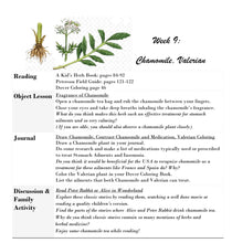 Load image into Gallery viewer, 3-Term Botany Bundle (PDF)