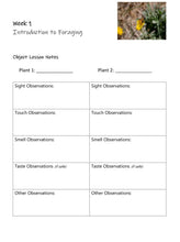 Load image into Gallery viewer, Two-Term Plants Bundle (PDF)