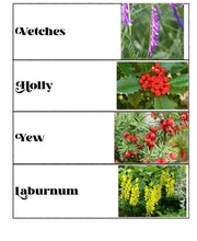 Load image into Gallery viewer, Scouting 2 Student Journal (Print)