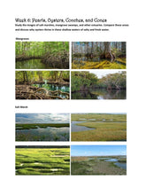 Load image into Gallery viewer, Seashells Student Journal (PDF)