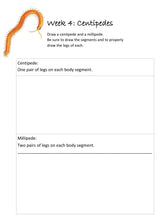 Load image into Gallery viewer, Desert Student Journal (Print)