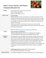 Load image into Gallery viewer, Delighting in Creation: Foraging (PDF)