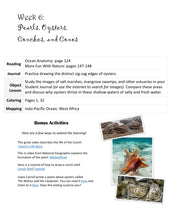 Load image into Gallery viewer, Delighting in Creation: Seashells and the Seashore (PDF)