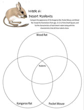 Load image into Gallery viewer, Habitats Bundle (PRINT)