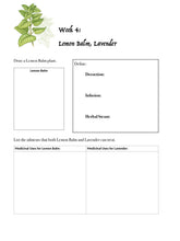 Load image into Gallery viewer, Two-Term Plants Bundle (PRINT)