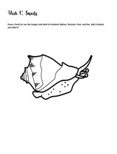 Load image into Gallery viewer, Two-Term Marine Bundle (PDF)