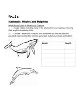 Load image into Gallery viewer, Delighting in Creation: Ocean Life (Print)