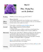 Load image into Gallery viewer, Delighting in Creation: Wildflowers (PRINT)