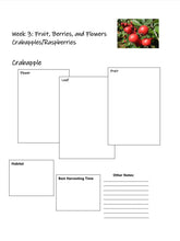 Load image into Gallery viewer, Two-Term Plants Bundle (PDF)