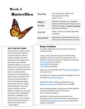 Load image into Gallery viewer, Delighting in Habitats: Rainforest (PDF)