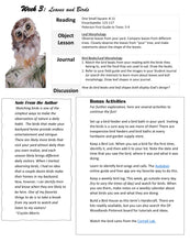 Load image into Gallery viewer, Habitats Bundle (PRINT)