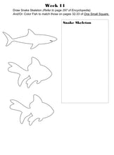 Load image into Gallery viewer, Habitats Bundle (PRINT)