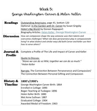 Load image into Gallery viewer, Compassionate Americans (PRINT)

