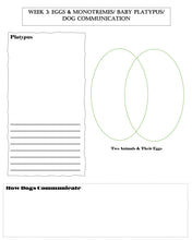 Load image into Gallery viewer, Animals: Domestic &amp; Young Student Journal PRINT
