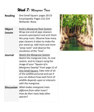 Load image into Gallery viewer, Delighting in Habitats: Swamp
