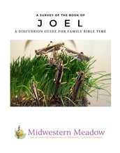 Load image into Gallery viewer, A Survey of.... Joel Bundle
