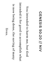 Load image into Gallery viewer, Joseph Bible Study (Genesis 37-50)
