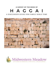 Load image into Gallery viewer, A Survey of.... Haggai Bundle (Copy)
