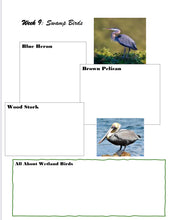 Load image into Gallery viewer, Swamp Student Journal (PRINT)

