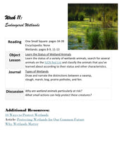 Load image into Gallery viewer, Delighting in Habitats: Swamp
