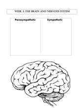 Load image into Gallery viewer, Human Body STUDENT JOURNAL (PRINT)
